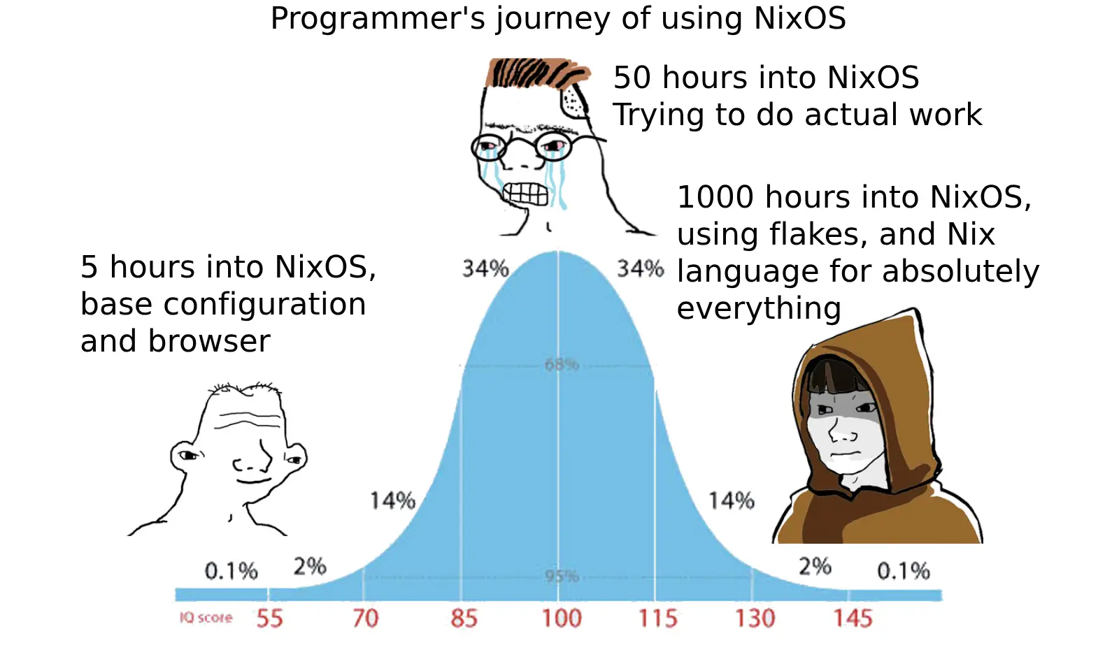 programmer's journey of using NixOS